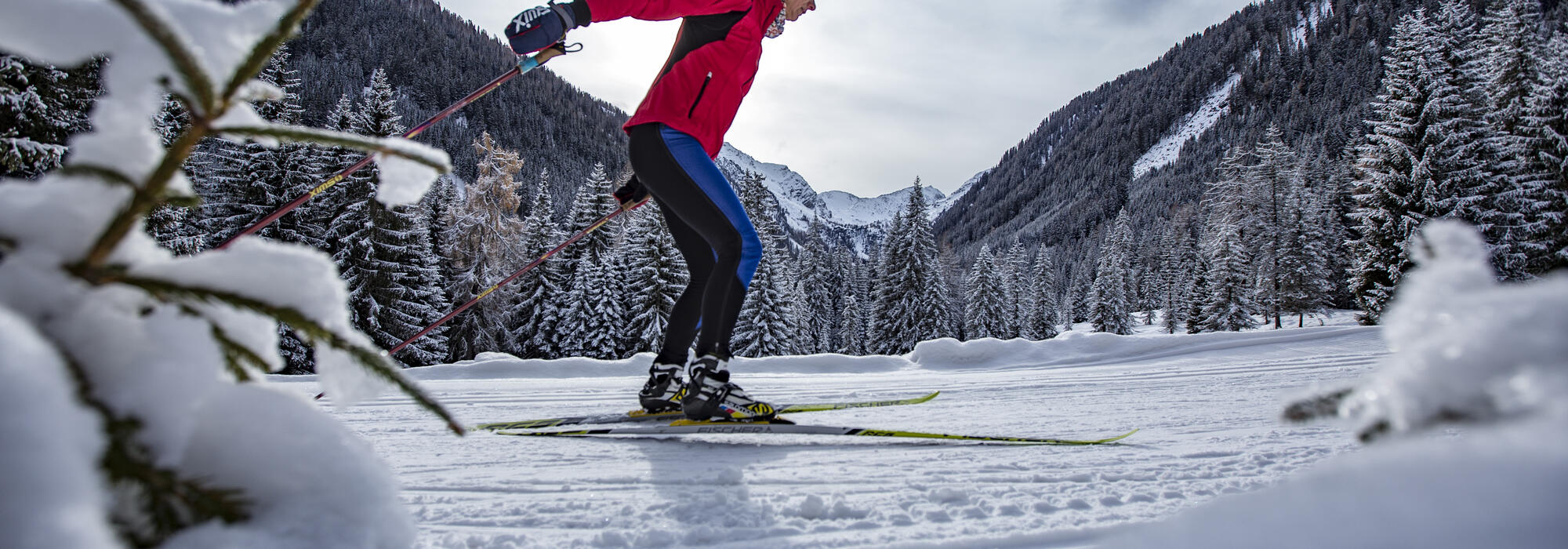 Langlauf Obertilliach | © TVB Osttirol / Berg im Bild OG