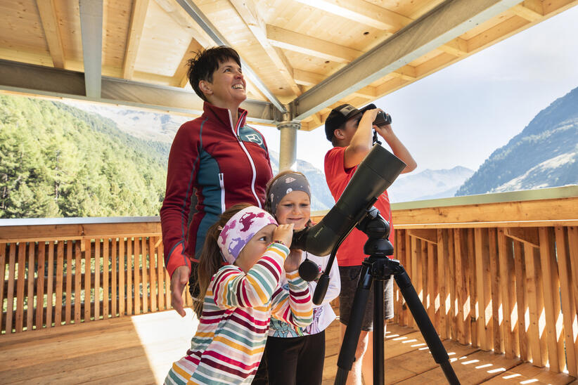Wildtierbeobachtungsturm Oberhaus | © TVB Osttirol / Nationalpark Hohe Tauern - Waldner Ramona
