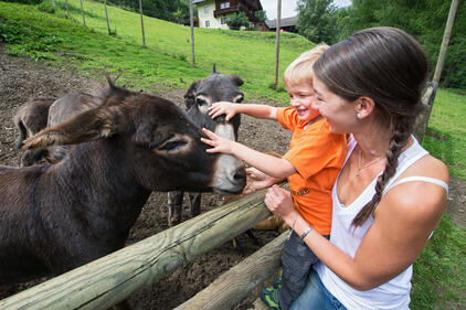 Assling Wildlife Park | © TVB Osttirol / Fun Alpin Osttirol Sommerrodelbahn GmbH