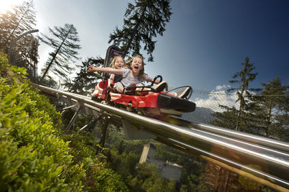 Ostirodler - Hochstein, Lienz, year-round alpine coaster | © TVB Osttirol / Martin Lugger