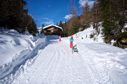 Rodeln Tilliachalmweg, Außervillgraten | © TVB Osttirol / Weitlaner Jakob